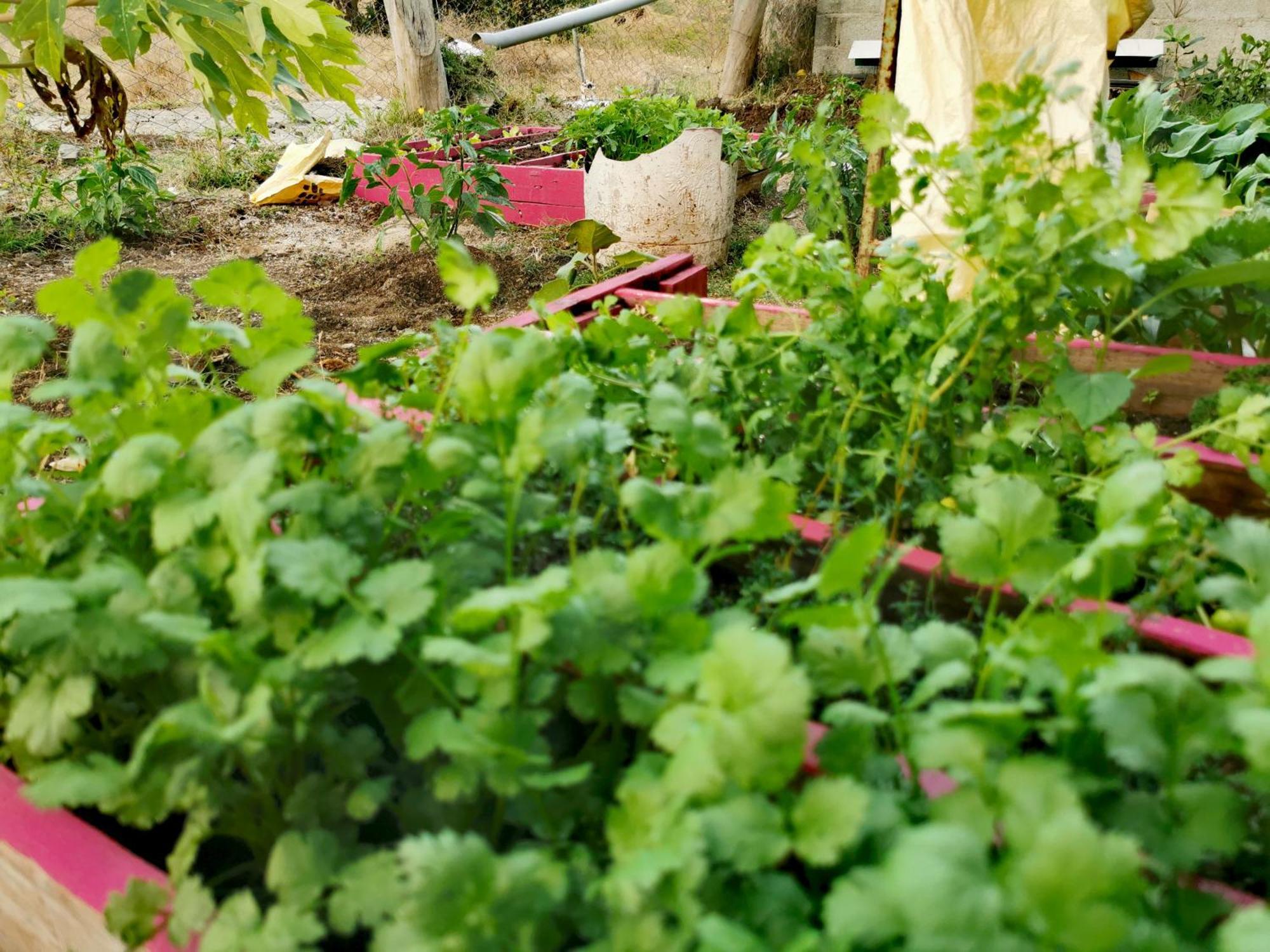 Panoramic Paradise La Ferme Eksteriør billede